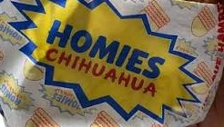 Homies Chihuahua